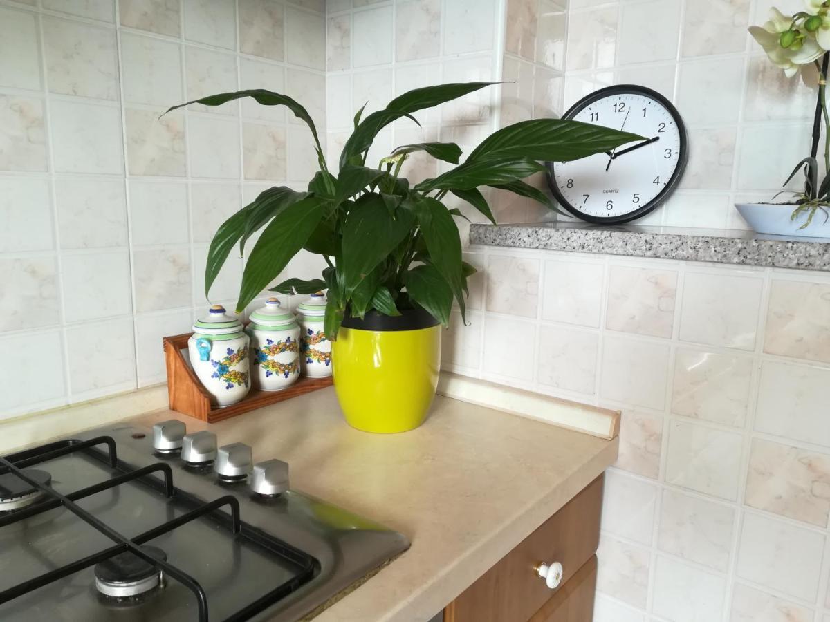 Apartment Toncic Benazici エクステリア 写真